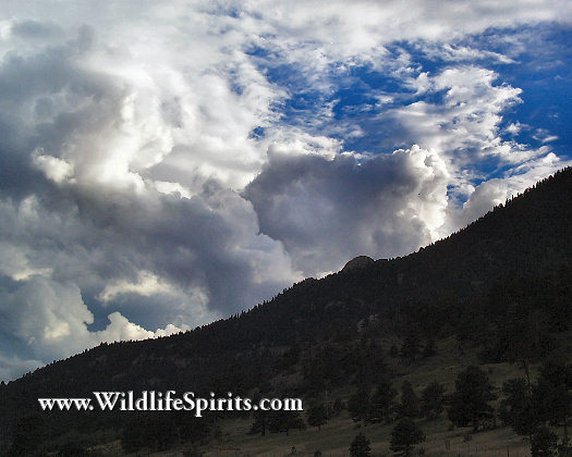 Click Picture to send as an  E-PostCard 51k 525x420